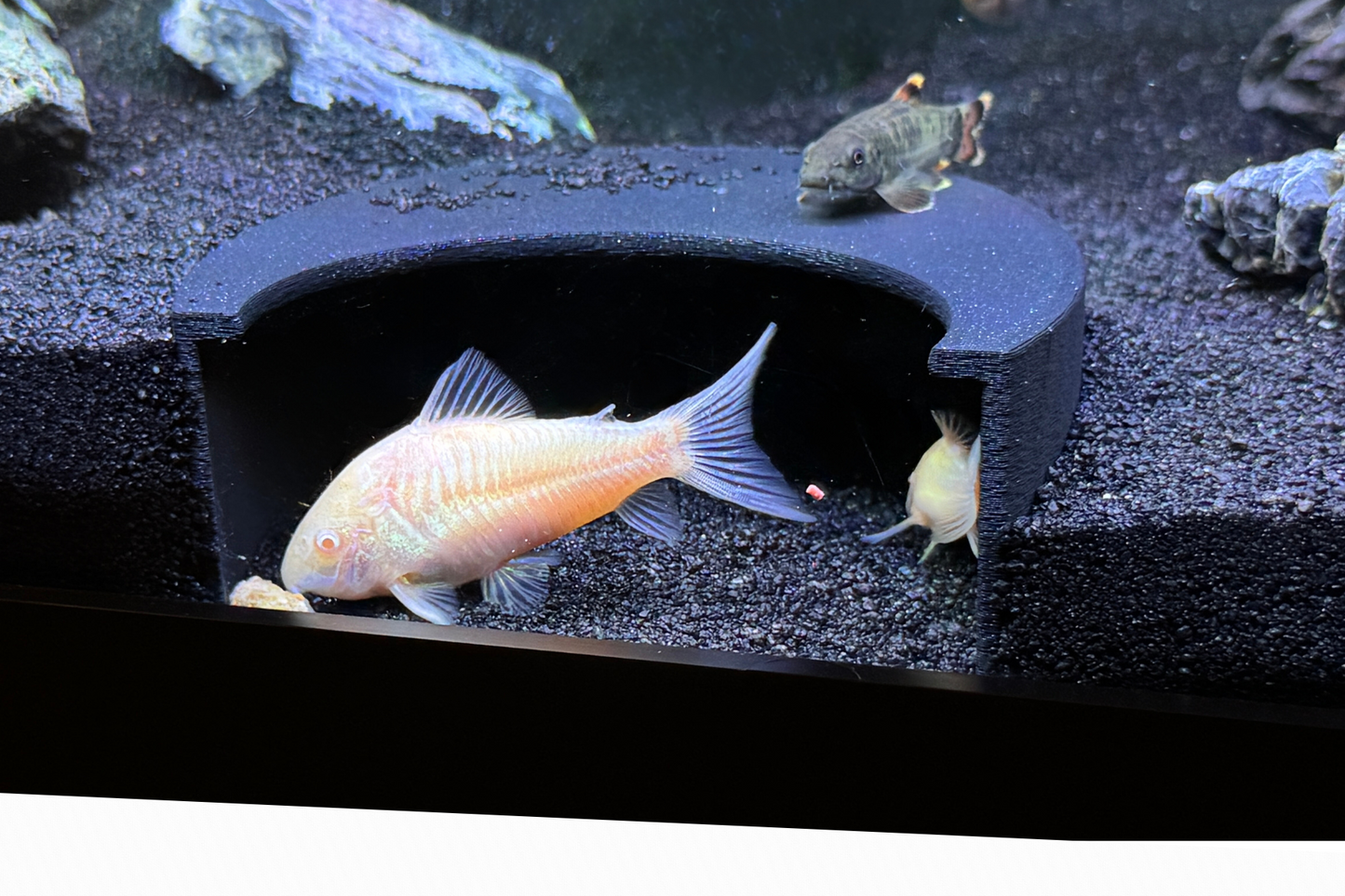 Aquarium Tunnel Aquarium Hide Aquarium Cave, Perfect for Loaches, Cichlids Corydoras Pleco Undergravel 3 Sizes Free Shipping
