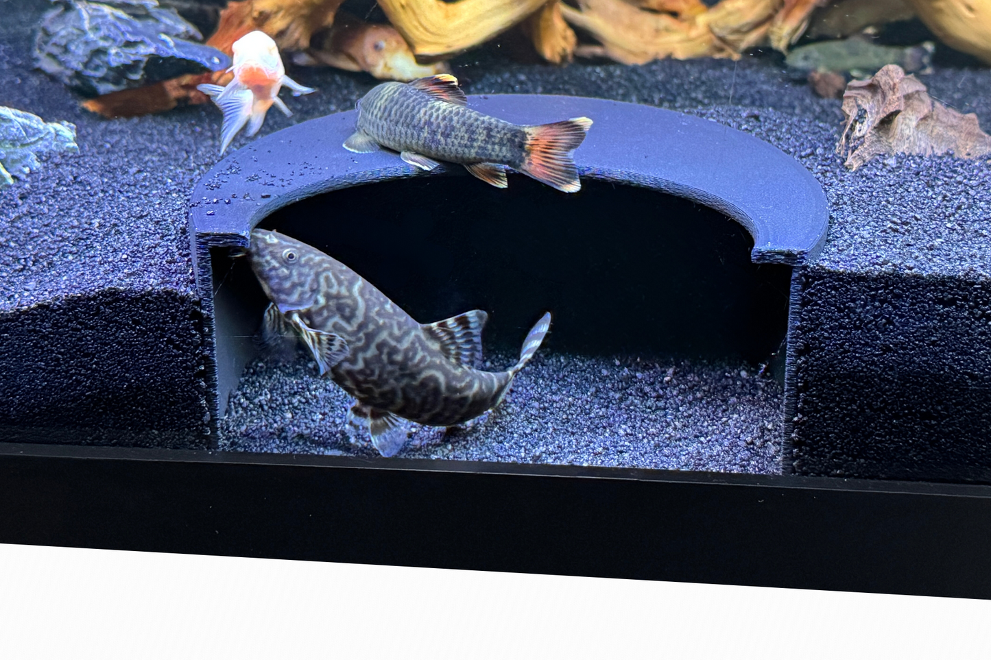Aquarium Tunnel Aquarium Hide Aquarium Cave, Perfect for Loaches, Cichlids Corydoras Pleco Undergravel 3 Sizes Free Shipping