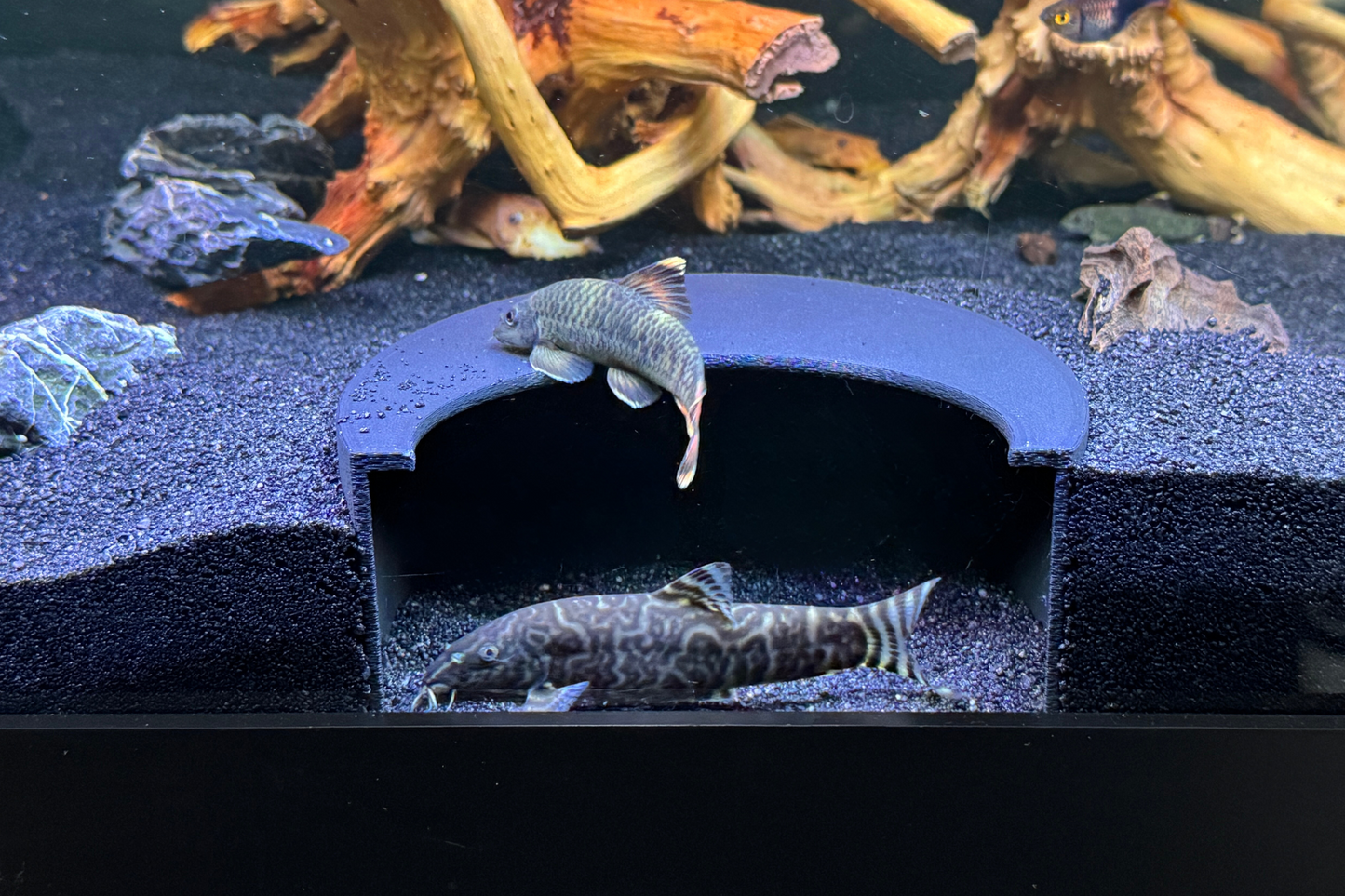 Aquarium Tunnel Aquarium Hide Aquarium Cave, Perfect for Loaches, Cichlids Corydoras Pleco Undergravel 3 Sizes Free Shipping