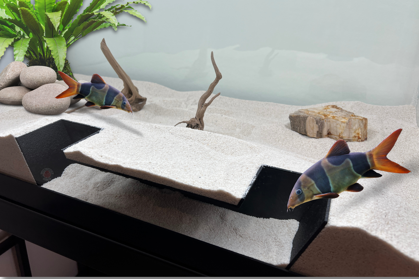Lifewithpets Aquarium Fish Tunnel Decoration | Cave Hide Ideal for Fish Axolotls and Small Reptiles