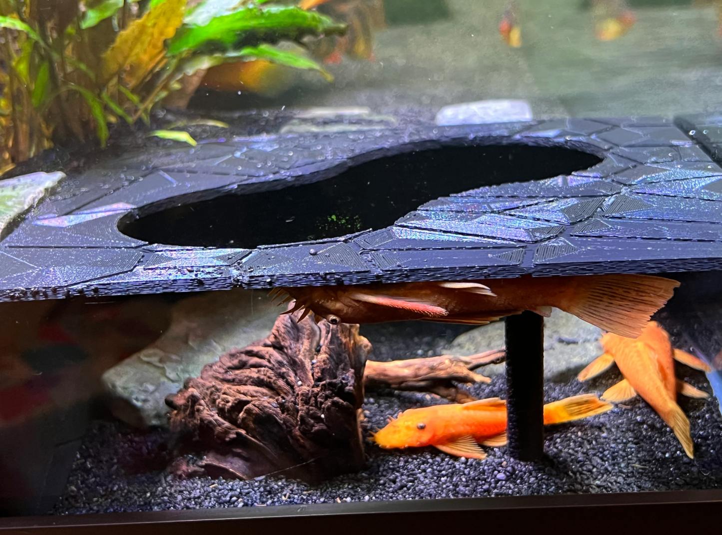 Aquarium/Terrarium Fish and Reptile Hide Free Shipping