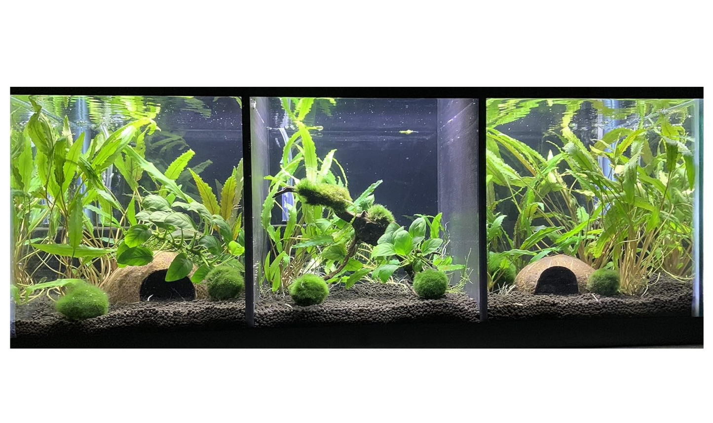 LifeWithPets 20 Gallon LONG fish Tank Divider