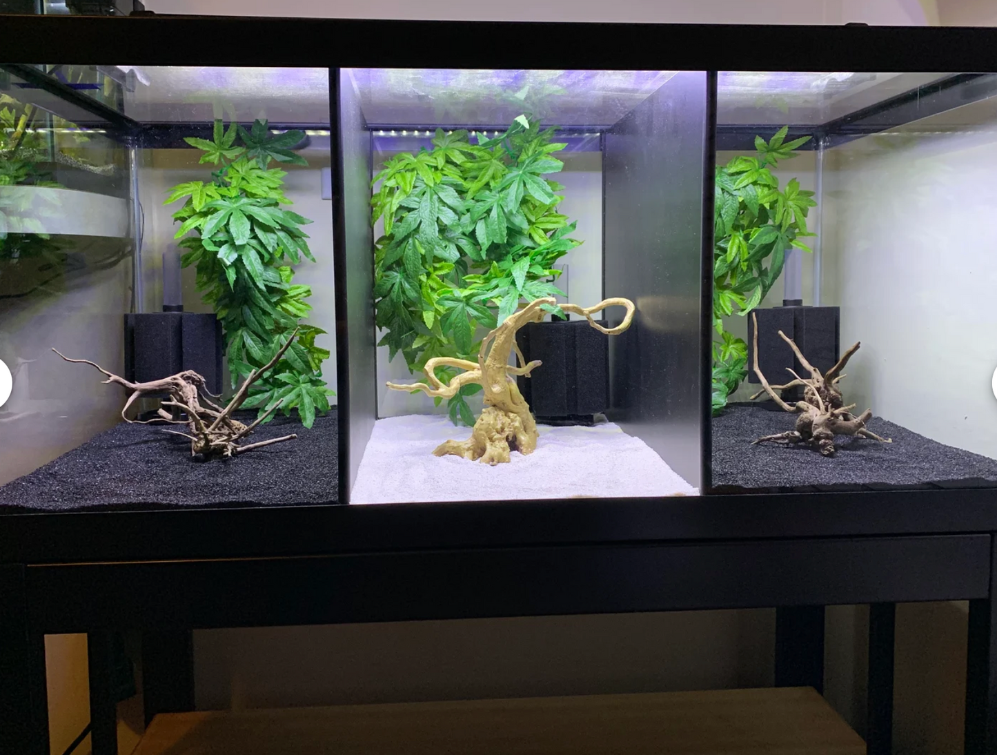 Lifewithpets 40 Gallon Breeder Tank Divider
