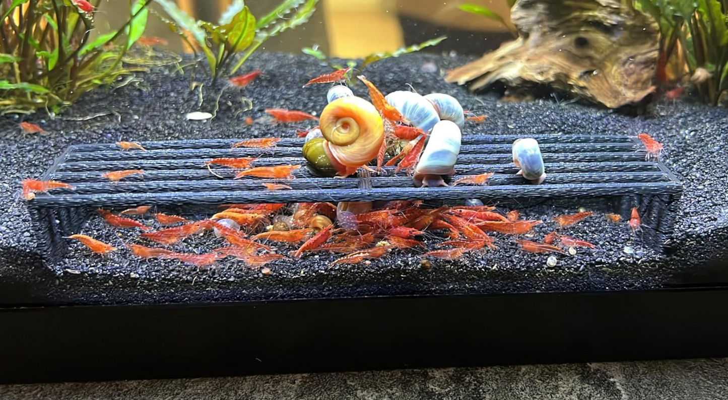 Lifewithpets Shrimp Hide