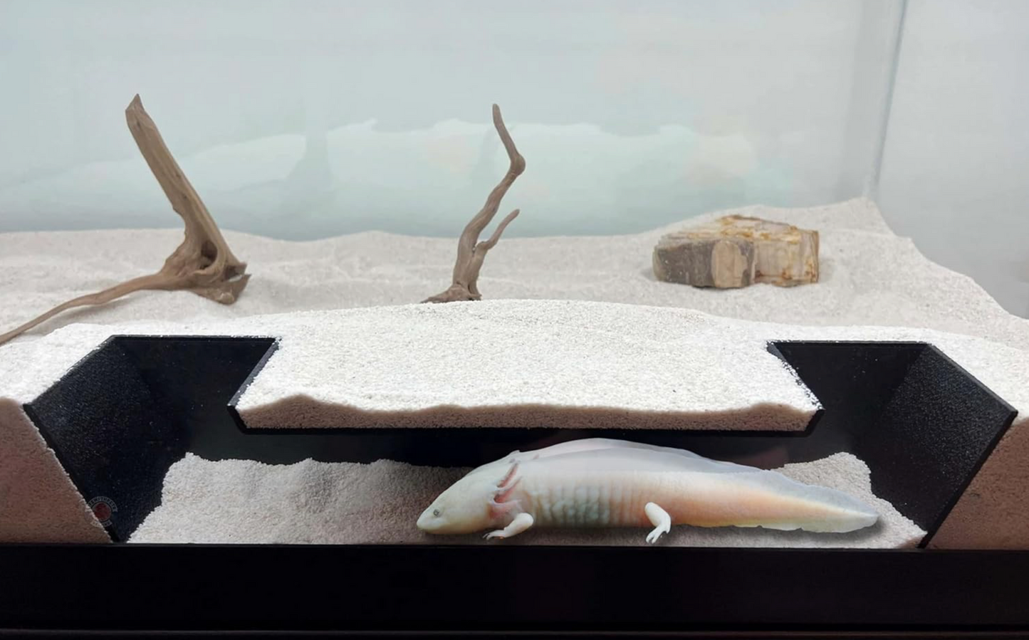 Lifewithpets Aquarium Fish Tunnel Decoration | Cave Hide Ideal for Fish Axolotls and Small Reptiles