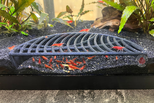 Lifewithpets Shrimp Halfmoon Hide Shrimp Cave